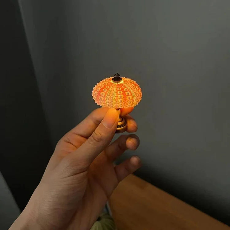 Seeigel-Nachtlampe