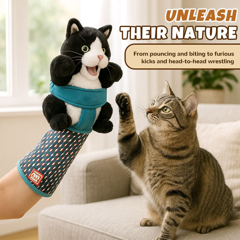 Katzenhandschuh mit Plüschpuppe – Spielen ohne Kratzer