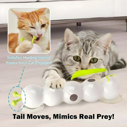 Interaktives Katzen-Wandspielzeug mit Bewegung