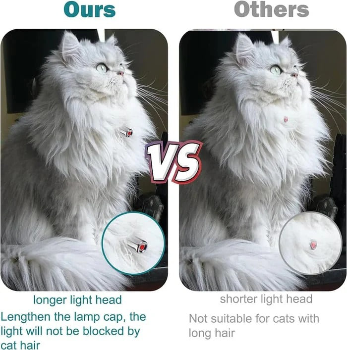 Automatisches Laser-Spielhalsband für Katzen – Aktiv Auch Ohne Aufsicht