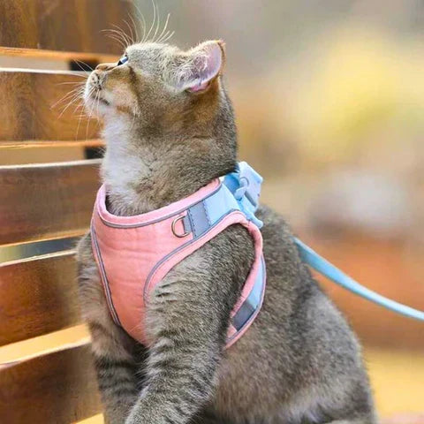 Katzengeschirr mit Leine – Komfortabler Sitz mit reflektierenden Sicherheitsstreifen