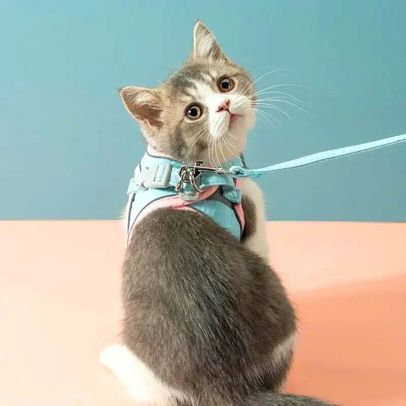 Katzengeschirr mit Leine – Komfortabler Sitz mit reflektierenden Sicherheitsstreifen