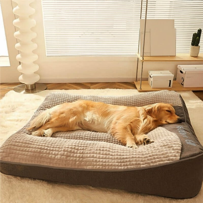 Orthopädisches Hundebett mit Rand – Kratzfest