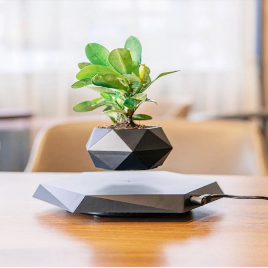 Schwebender Blumentopf mit 360°-Rotation – Modernes Wohnaccesoire