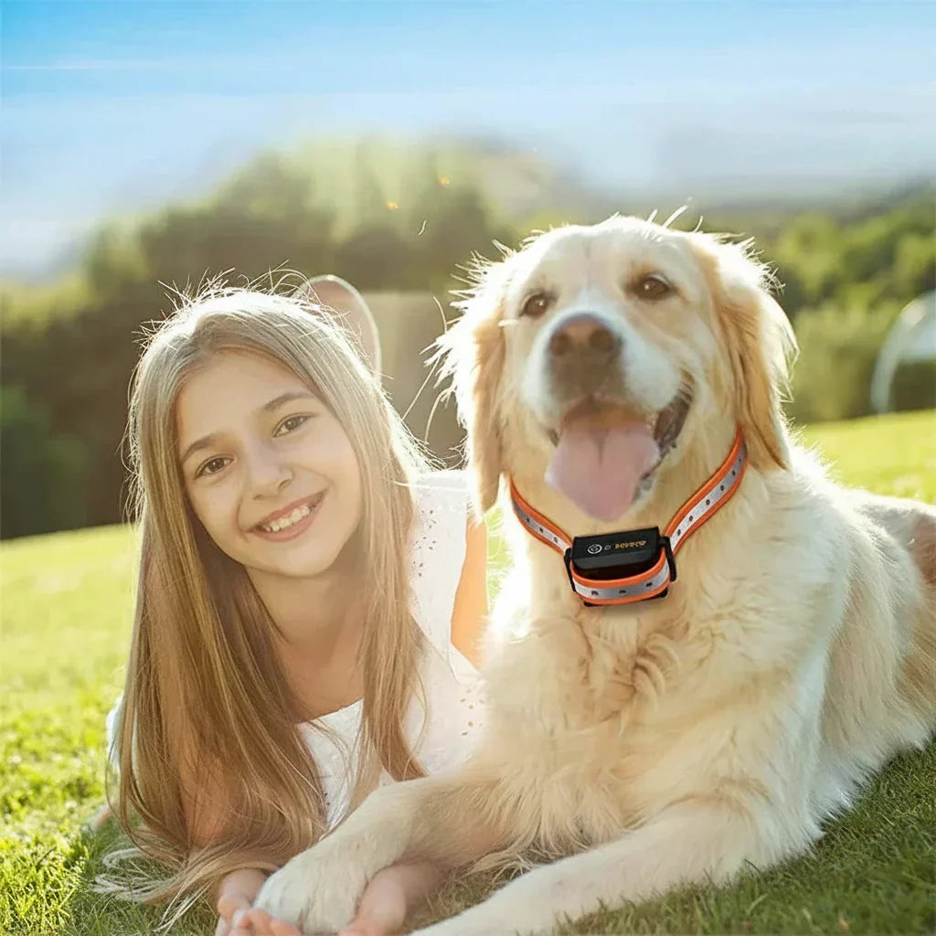 Hundetrainingshalsband mit Fernbedienung – 1000 m Reichweite, 3 Modi
