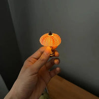 Seeigel-Nachtlampe