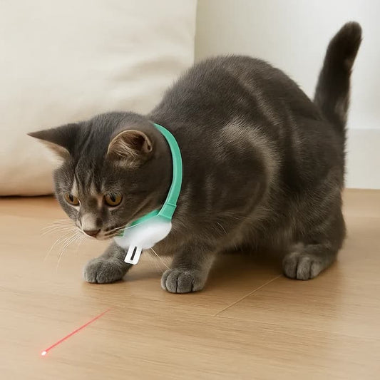 Automatisches Laser-Spielhalsband für Katzen – Aktiv Auch Ohne Aufsicht