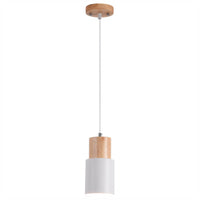 Moderne Pendelleuchte Metall
