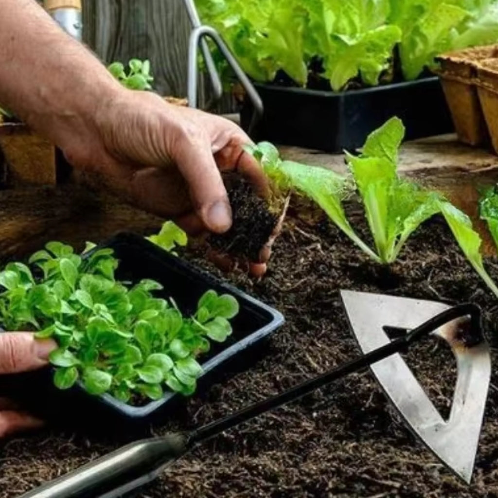 Garten-Unkrautstecher mit Hohlklinge – Weniger Aufwand, sauberes Ergebnis