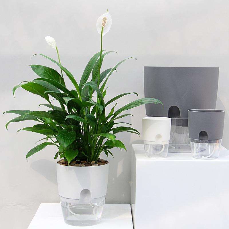 Selbstbewässernder Blumentopf – Nie wieder vertrocknet