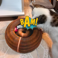 Interaktives Katzenspielzeug mit Unvorhersehbarer Bewegung