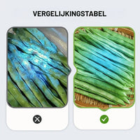 365 nm UV-Taschenlampe – Kompaktes Schwarzlicht für den Heimgebrauch