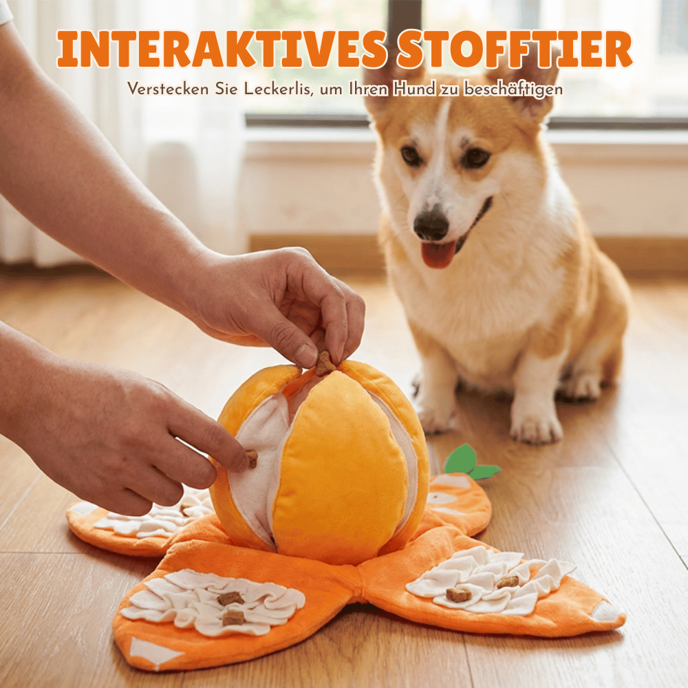 Interaktives Plüsch-Hundespielzeug mit Quietscher – Versteck-Puzzle für Leckerchen