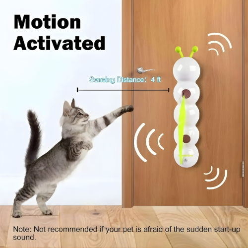 Interaktives Katzen-Wandspielzeug mit Bewegung