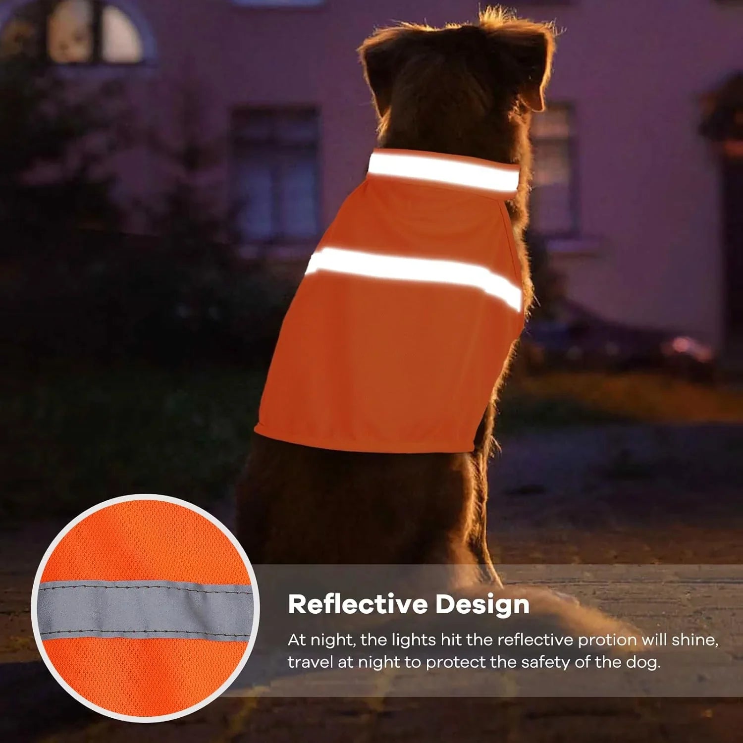 Reflektierendes Sicherheitsweste für Hunde – Hohe Sichtbarkeit bei Abendspaziergängen