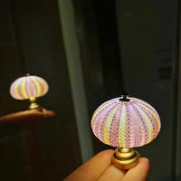 Seeigel-Nachtlampe
