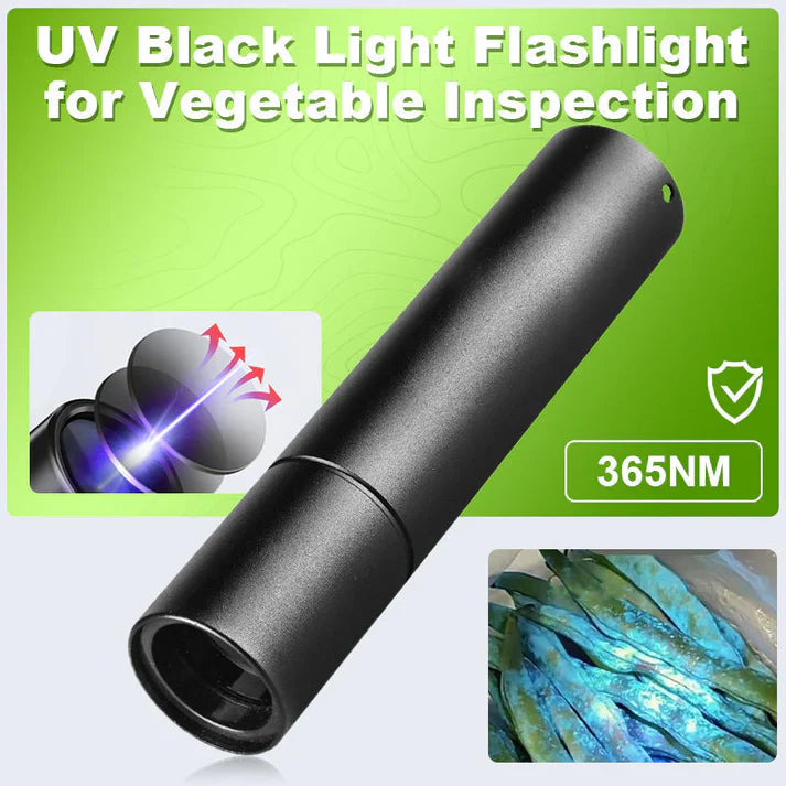 365 nm UV-Taschenlampe – Kompaktes Schwarzlicht für den Heimgebrauch
