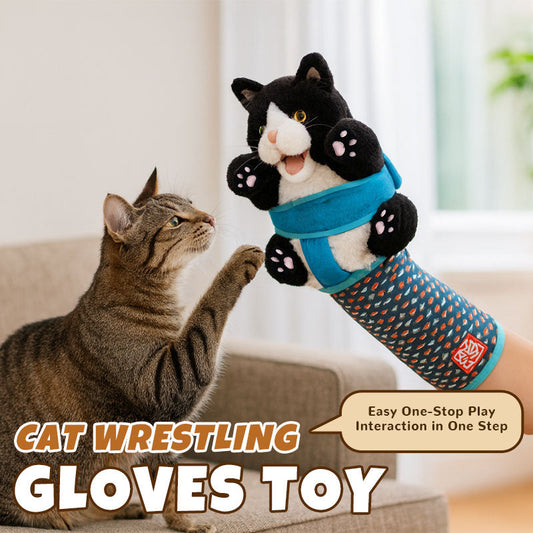 Katzenhandschuh mit Plüschpuppe – Spielen ohne Kratzer