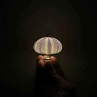 Seeigel-Nachtlampe