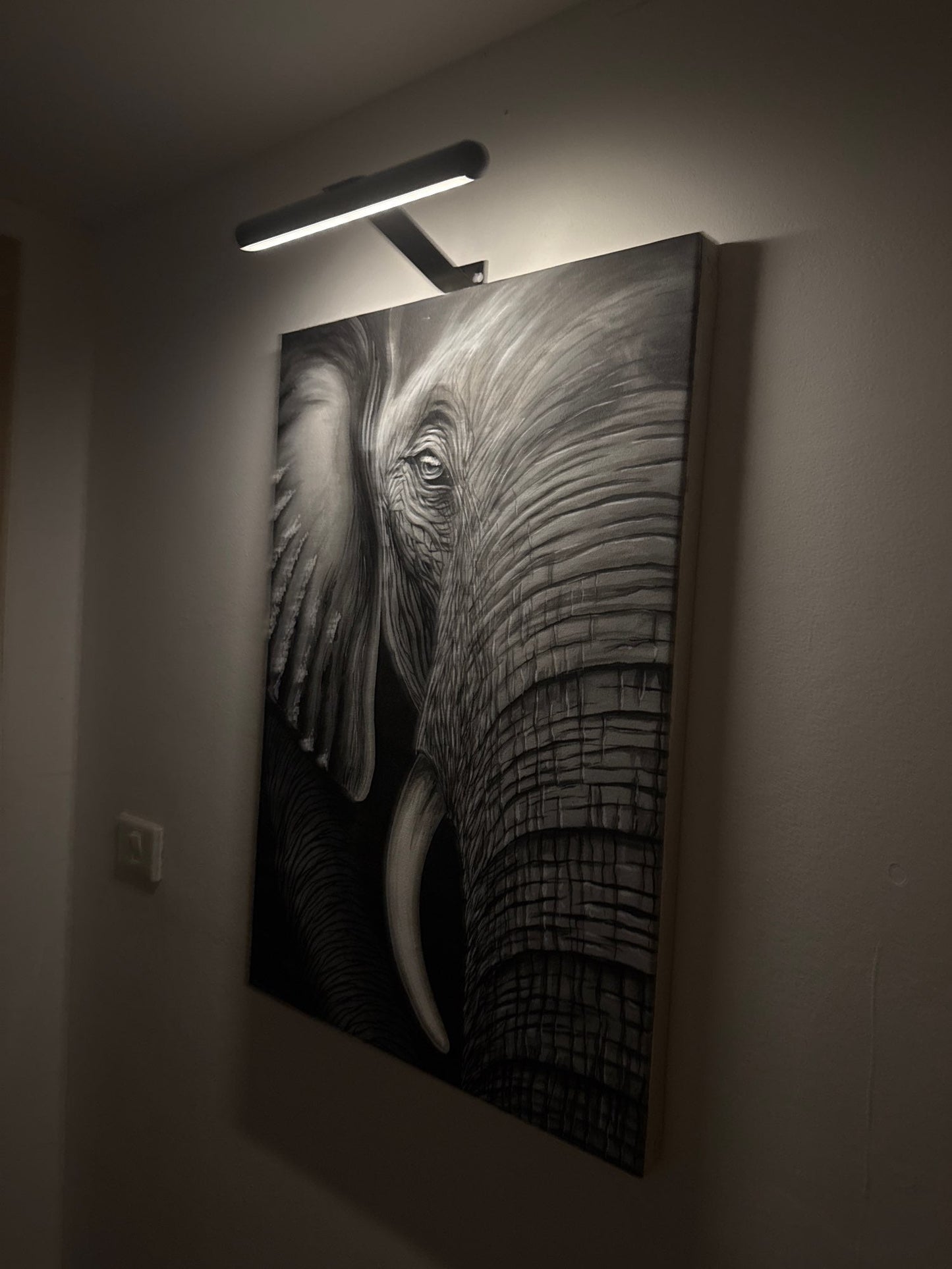 Kabellose LED-Bilderleuchte – Dimmbare Wandlampe für Kunstwerke
