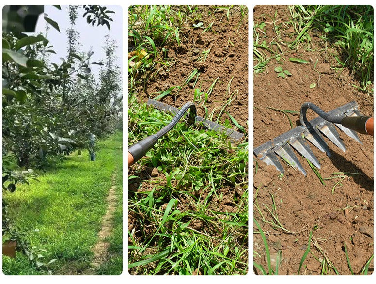 Gartenhacke aus Kohlenstoffstahl – Scharfe Zinken für Jäten und Bodenlockerung