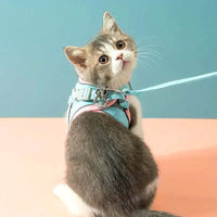 Katzengeschirr mit Leine – Komfortabler Sitz mit reflektierenden Sicherheitsstreifen