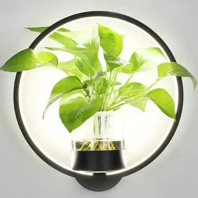 LED-Pflanzen-Wandleuchte mit Glasvase – Rund & Oval