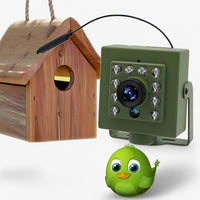 WLAN-Vogelnistkamera mit Nachtsicht – Live auf dem Smartphone beobachten