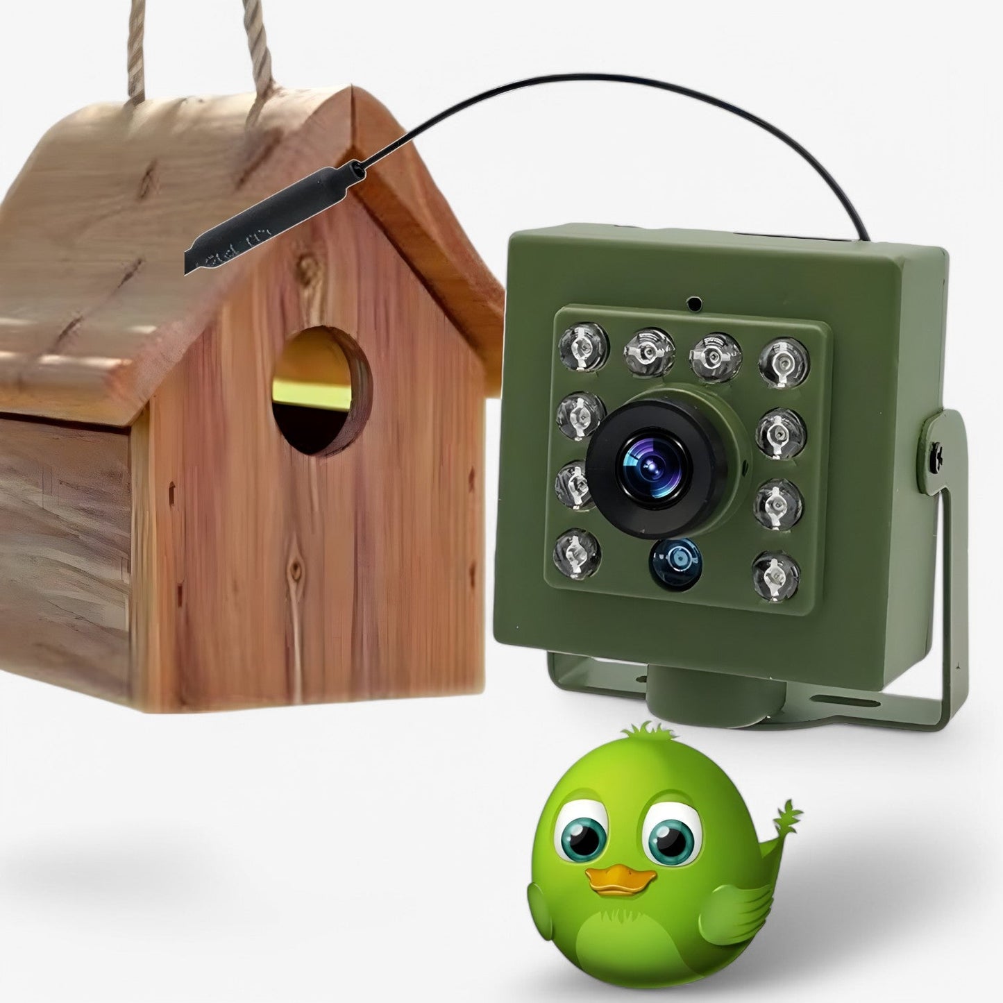 WLAN-Vogelnistkamera mit Nachtsicht – Live auf dem Smartphone beobachten