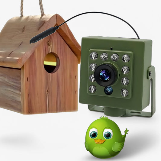WLAN-Vogelnistkamera mit Nachtsicht – Live auf dem Smartphone beobachten