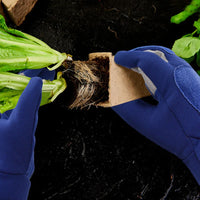 Dornenfeste Gartenhandschuhe mit verstärkter Handfläche