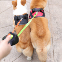 Doppelte Einzieh-Hundeleine mit LED-Taschenlampe – Zwei Hunde gleichzeitig führen
