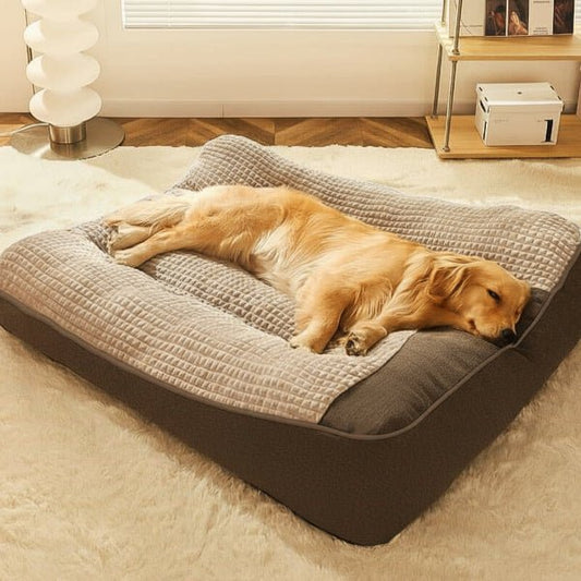 Orthopädisches Hundebett mit Rand – Kratzfest