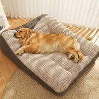 Orthopädisches Hundebett mit Rand – Kratzfest