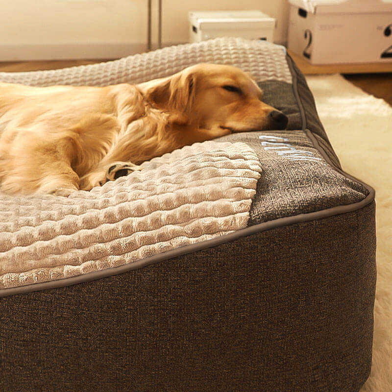 Orthopädisches Hundebett mit Rand – Kratzfest