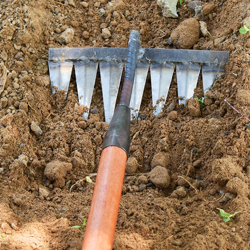 Gartenhacke aus Kohlenstoffstahl – Scharfe Zinken für Jäten und Bodenlockerung
