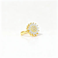 Verstellbarer Fidget-Ring – Drehband, polierter Edelstahl