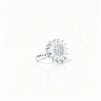 Verstellbarer Fidget-Ring – Drehband, polierter Edelstahl
