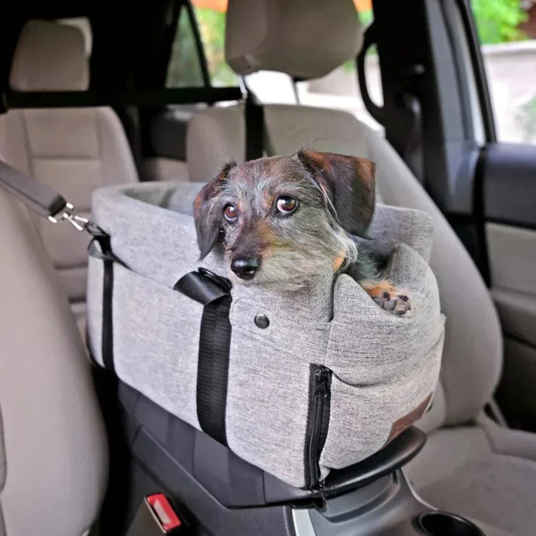 Auto-Hundesitz – Sicher & Gepolstert für Kleine Hunde bis 11 kg