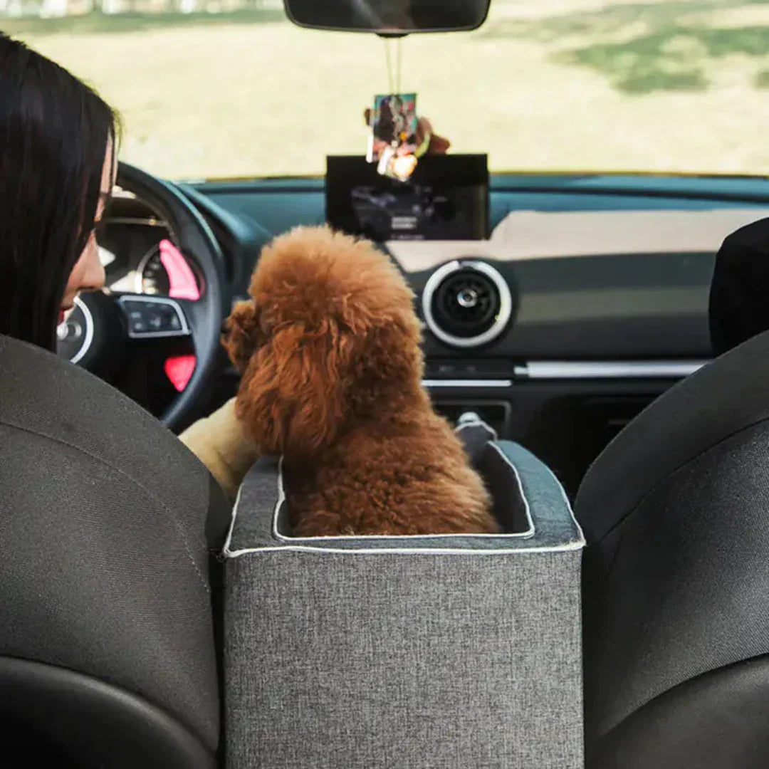 Auto-Hundesitz – Sicher & Gepolstert für Kleine Hunde bis 11 kg
