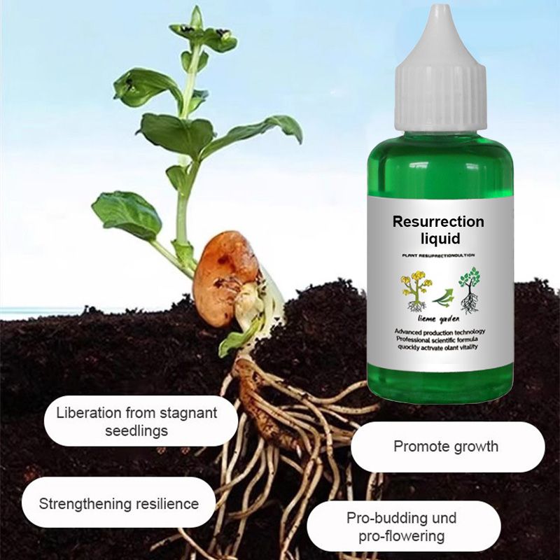 Pflanzen- & Blütenaktivator Flüssig – Stärkere Wurzeln & Mehr Blüten