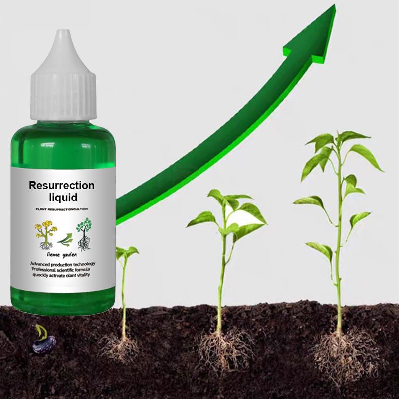 Pflanzen- & Blütenaktivator Flüssig – Stärkere Wurzeln & Mehr Blüten