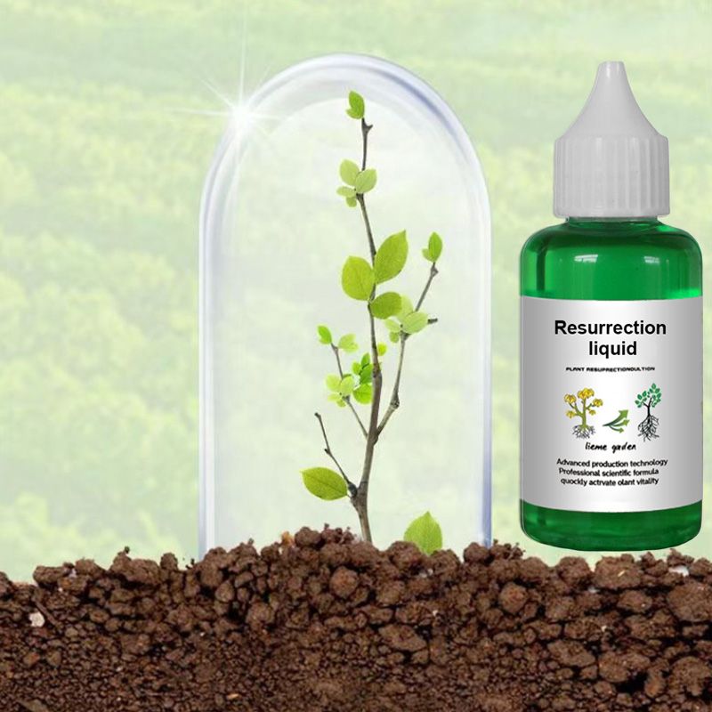 Pflanzen- & Blütenaktivator Flüssig – Stärkere Wurzeln & Mehr Blüten